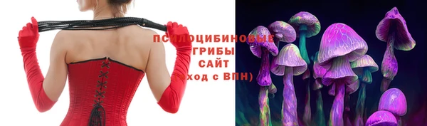 твердый Армянск