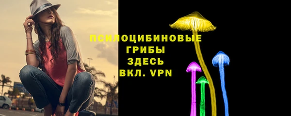 твердый Армянск