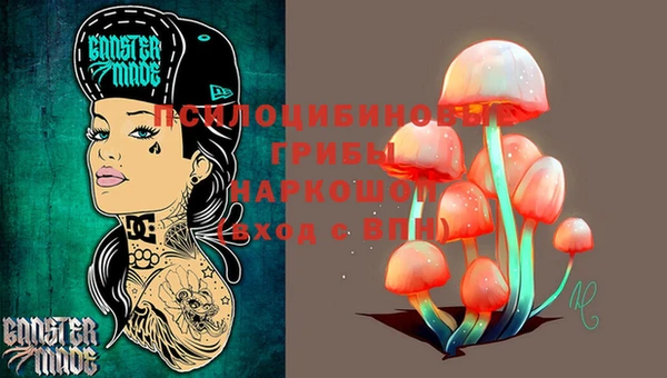 мдпв Арсеньев